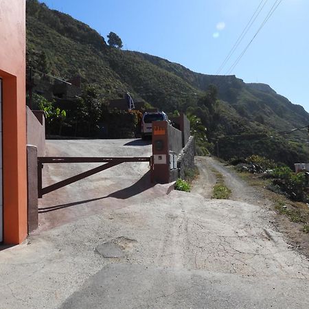 Tonono'S Village Santa Maria de Guia de Gran Canaria Eksteriør billede
