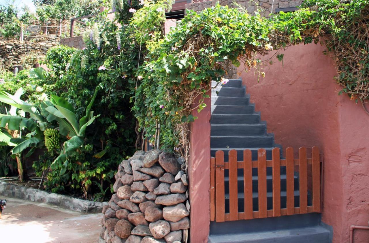 Tonono'S Village Santa Maria de Guia de Gran Canaria Eksteriør billede