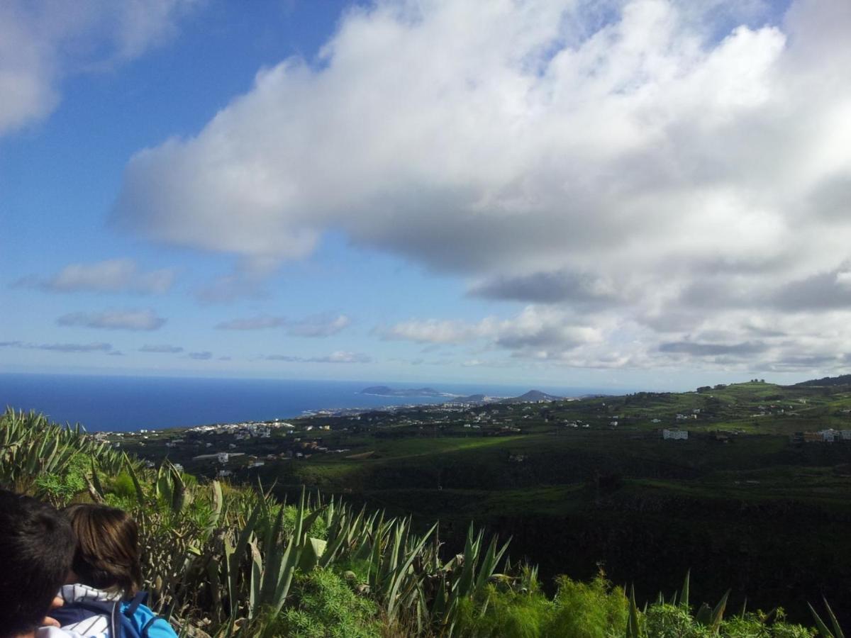 Tonono'S Village Santa Maria de Guia de Gran Canaria Eksteriør billede