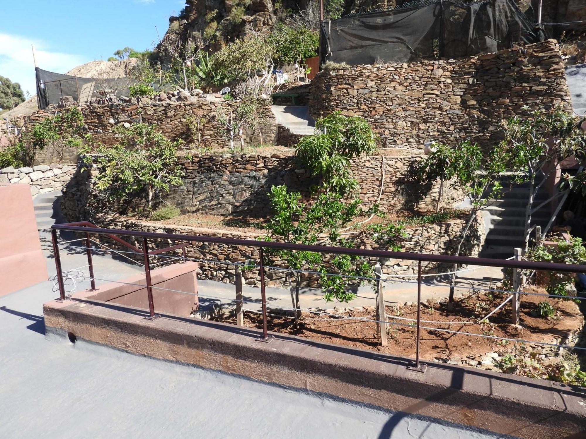 Tonono'S Village Santa Maria de Guia de Gran Canaria Eksteriør billede